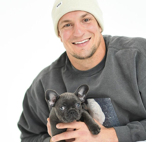 French Bulldog Puppies | Frenchie Puppies